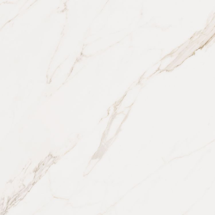 Omnia Calacatta Matte 48 x 48
